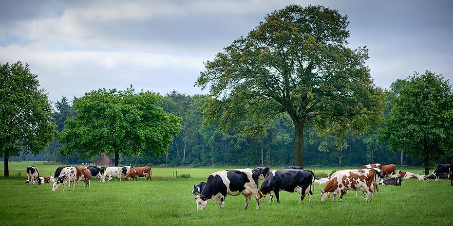 fotografie wetenschappelijke publicaties