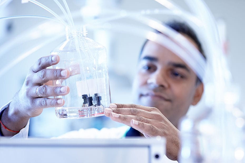 laboratorium fotografie jaarverslag