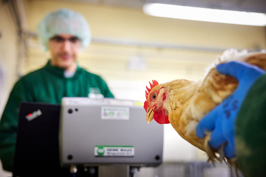 stockfotos wetenschappelijk onderzoek